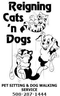 Reigning Cats 'n Dogs